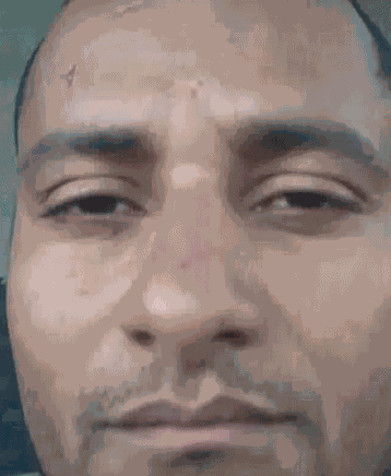 Olhar Pereira GIF