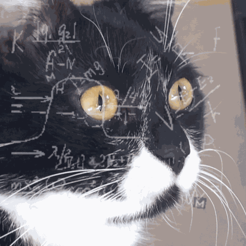 Olijf Math GIF