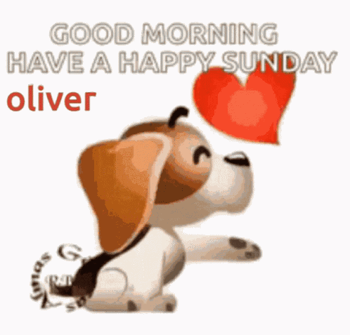 Oliver GIF