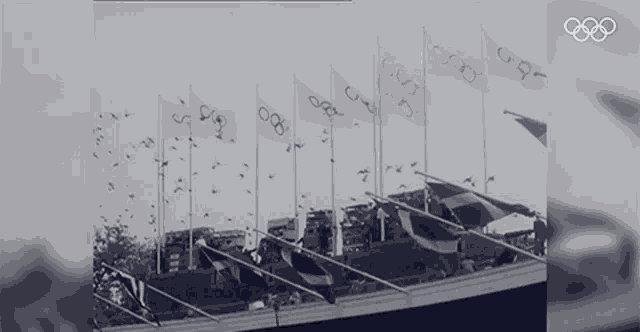 Olympics Olympic Games GIF