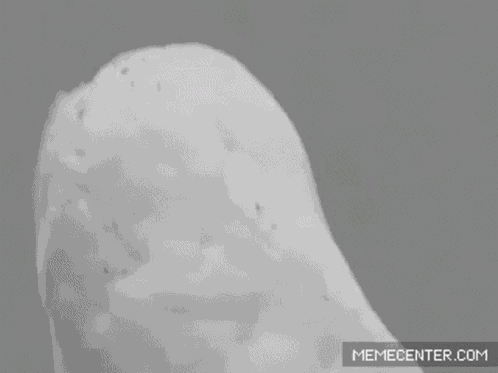 Omg Just When I Thought Ive Seen It All GIF