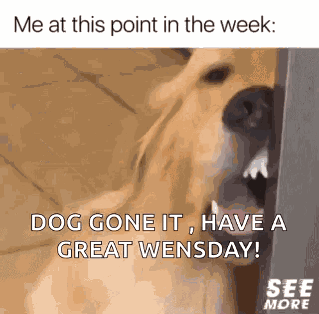 Omg Me At This Point GIF