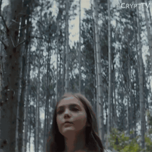 Ominous Woods Walking In The Woods GIF