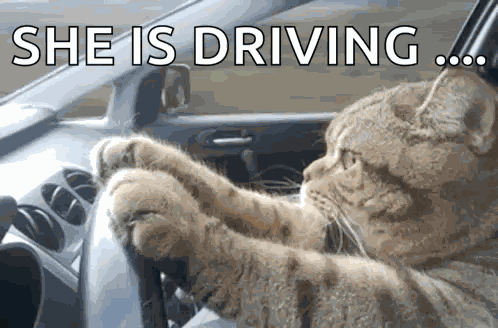 Omw GIF