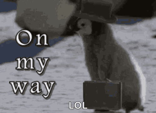Omw Im GIF