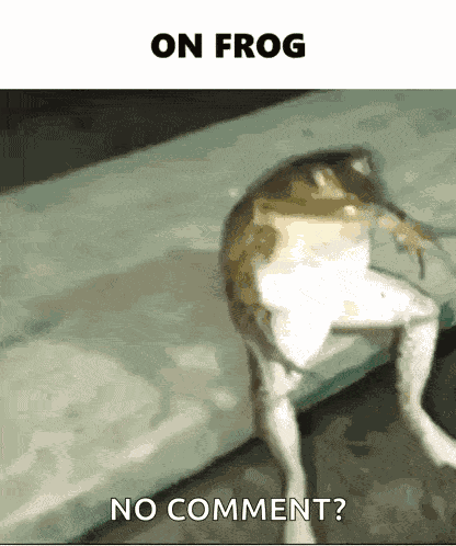 On Frog On God GIF