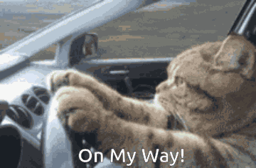 On My Way On The Way GIF