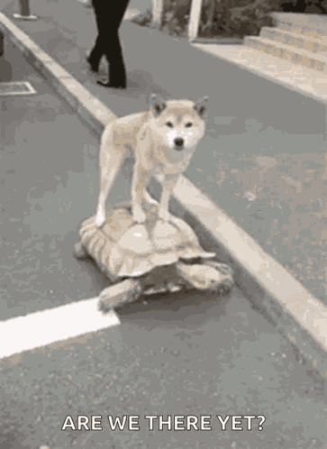 On My Way Slow GIF