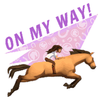 On My Way To The Speed Of Light Sticker