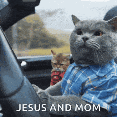 Ondrejbrousil Cat Driving GIF