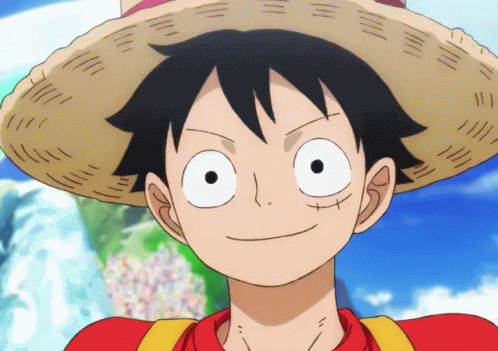 One Piece 1piece GIF