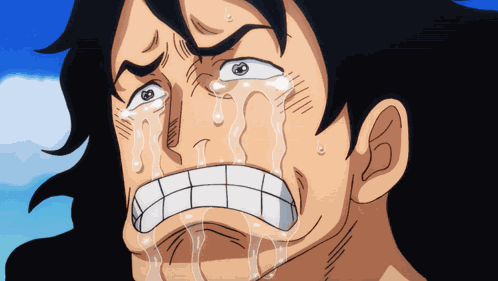 One Piece Momo GIF