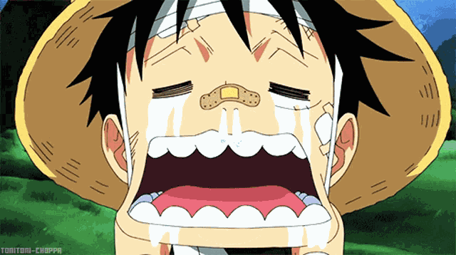 One Piece Monkey D Luffy GIF