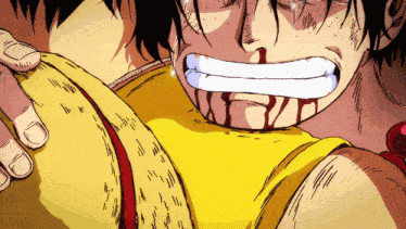 One Piece One Piece 3d2y GIF