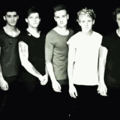Onedirection Happy GIF