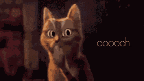 Ooh Cat GIF