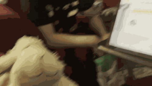 Ooooh Sheep GIF
