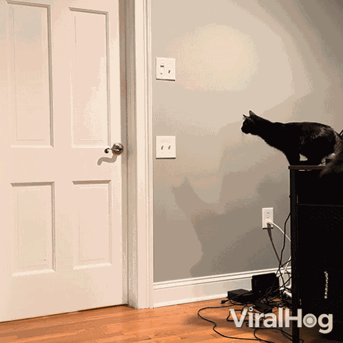 Opening The Door Viralhog GIF