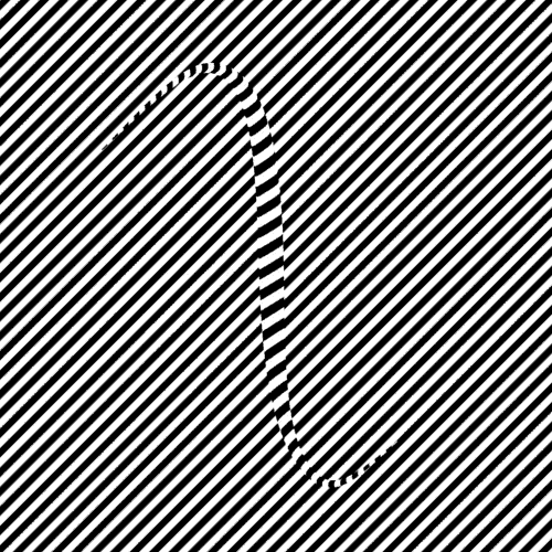 Optical Illusion GIF