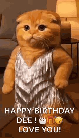Orange Cat Dancing GIF