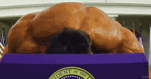 Orange Hulk Donsld Trump GIF