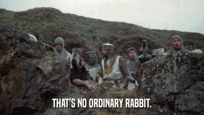Ordinary Rabbit Monty Python And The Holy Grail GIF