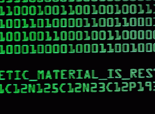 Orphanb Numbers GIF