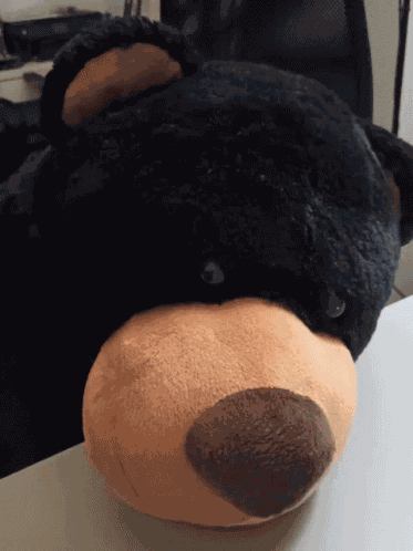 Orso Coppino GIF