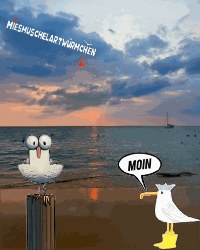 Ostfriesland Moin GIF