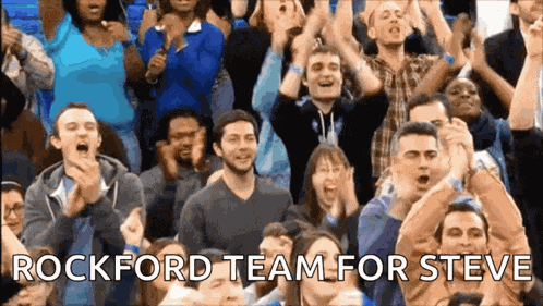 Other Team Crowd GIF