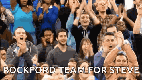 Other Team Crowd GIF
