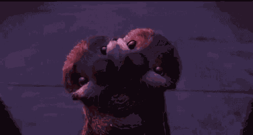 Otter Baby GIF