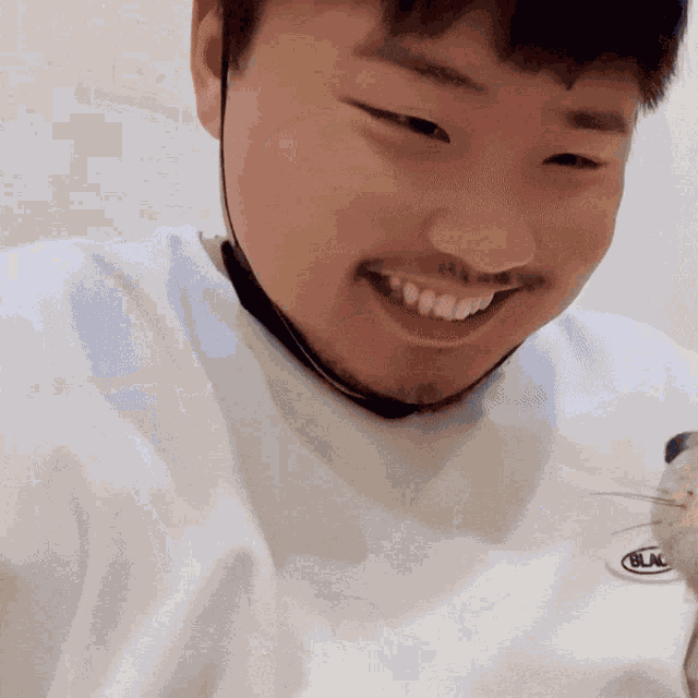 Otter Produce Panda GIF