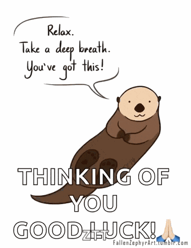 Otter Relax GIF
