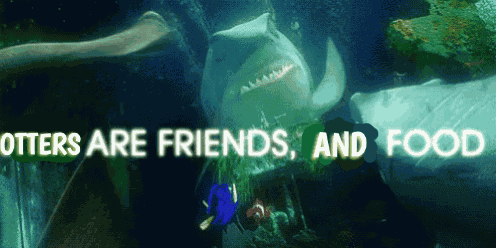 Otters Are Friends And Food GIF
