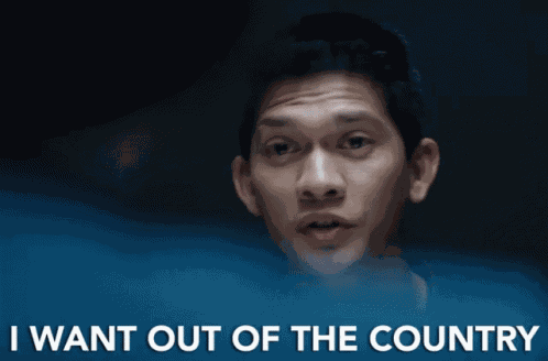 Out Out Of The Country GIF