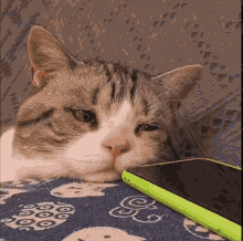 Over It Tired GIF