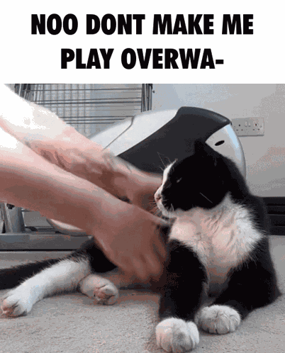 Overwatch Meme GIF