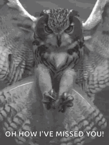 Owl Claws GIF