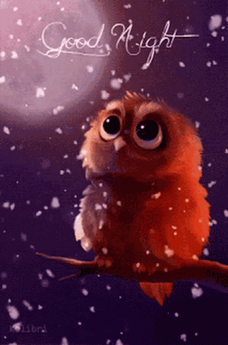 Owl Night GIF