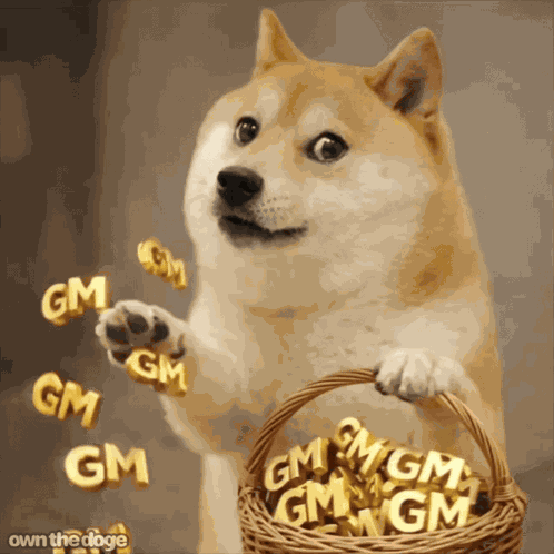 Own The Doge Dogecoin GIF