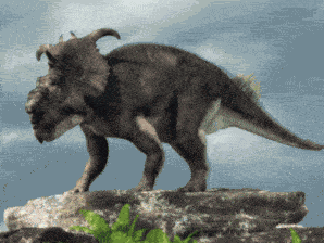 Pachyrhinosaurus Pachy GIF