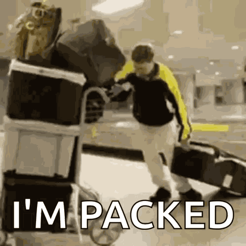 Packing Bags Airport GIF