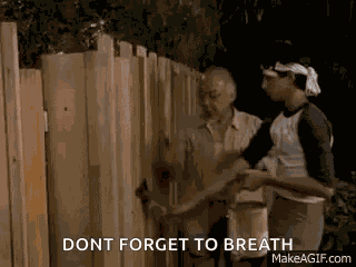 Paint The Fence Hands Up Hands Down GIF