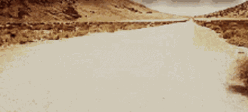 Paja Desierto GIF