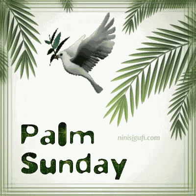Palm Sunday Dove GIF