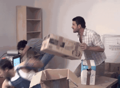 Palmashow Déménagement GIF