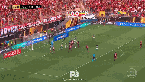 Palmeiras Flamengo GIF