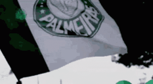Palmeiras GIF
