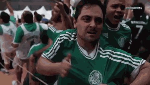 Palmeiras Vai Palmeiras GIF